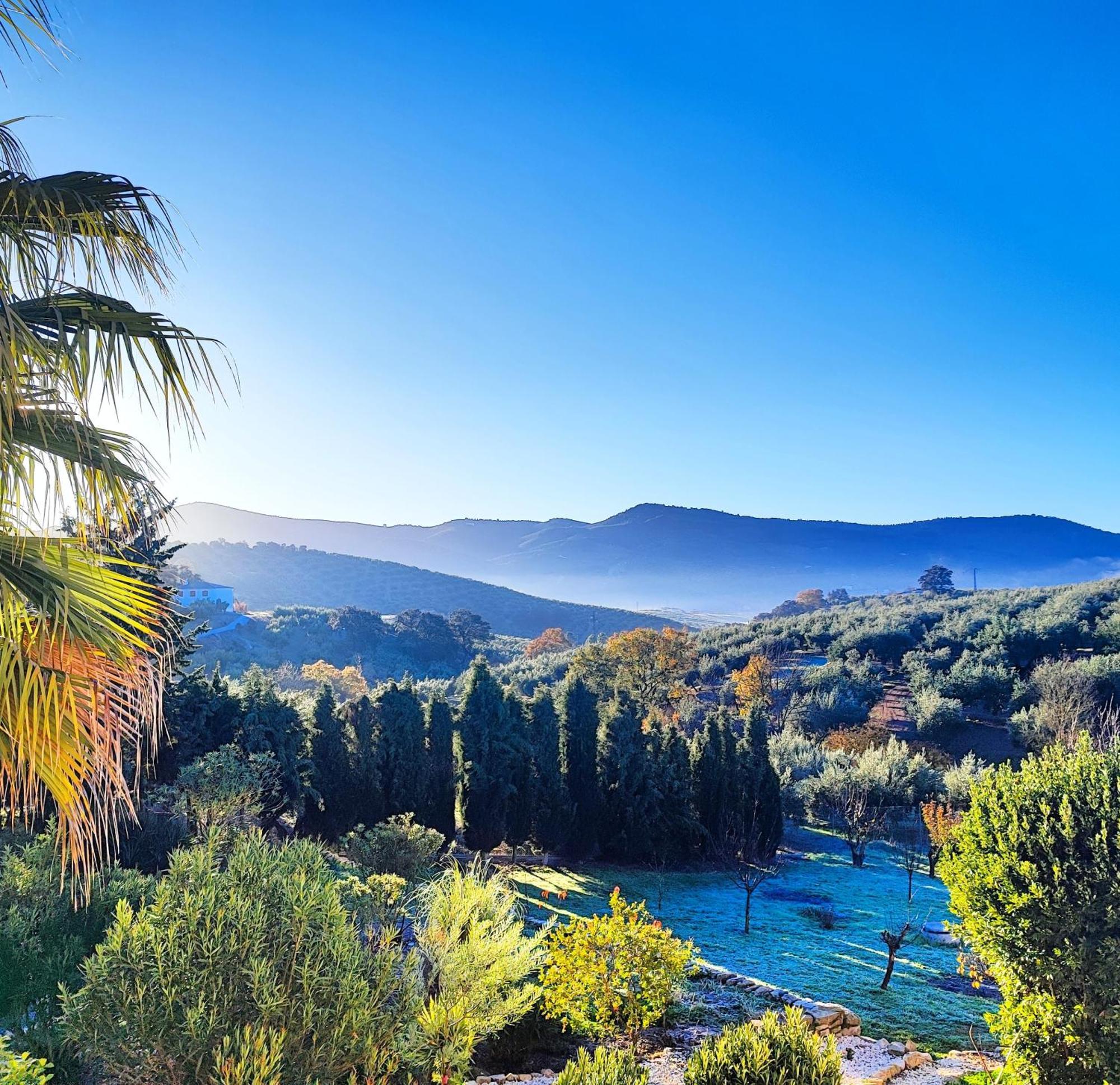 Cortijo Pennymaria Poolside Apartment Near Montefrio With Stunning Views Ngoại thất bức ảnh